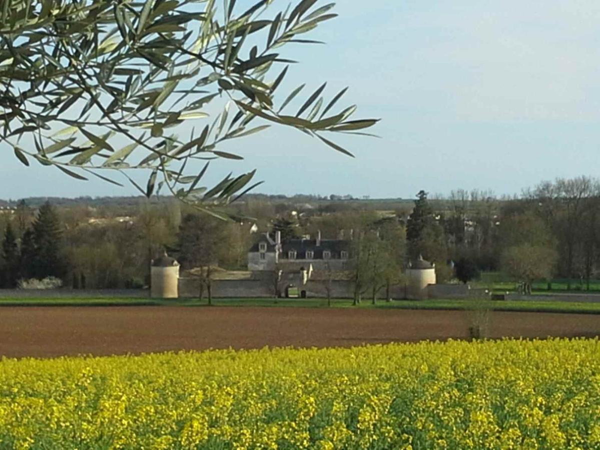 Au Grain D'Orge Villa Echire Dış mekan fotoğraf